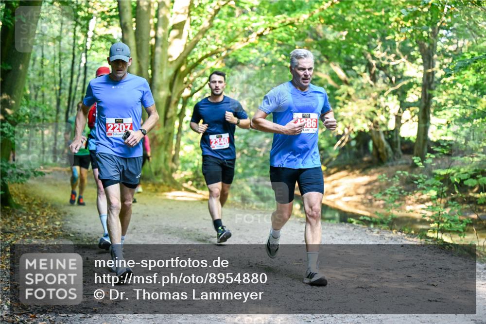 28.09.2025 - 33. Volkslauf durch das schöne Alstertal Dr. Thomas Lammeyer http://msf.ph/oto/8954880 28.09.2025 10:40:02 Laufen 2207, 2340, 286 meine-sportfotos.de