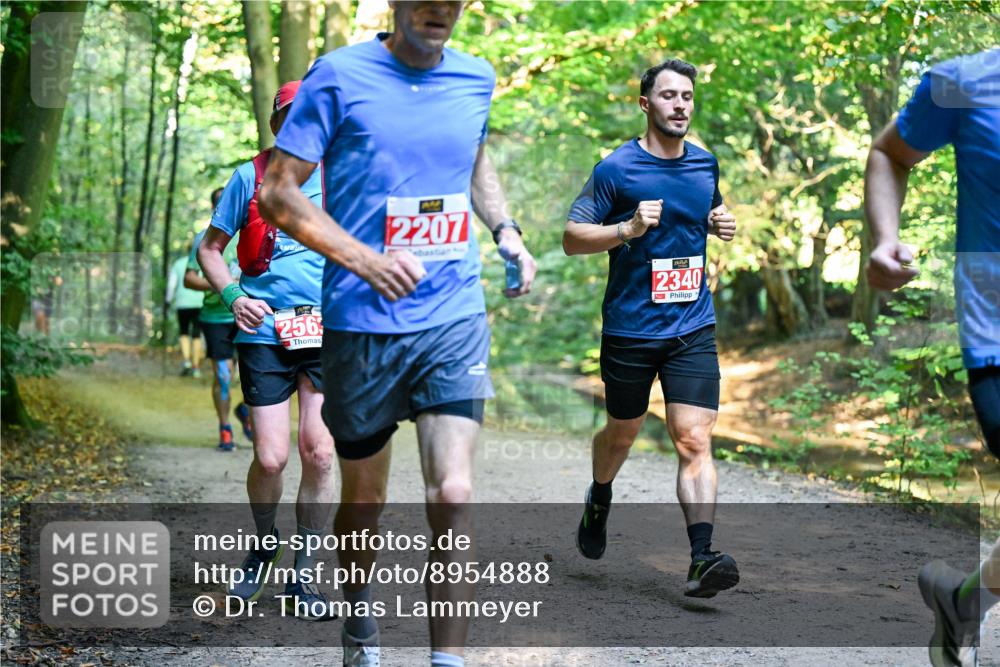 28.09.2025 - 33. Volkslauf durch das schöne Alstertal Dr. Thomas Lammeyer http://msf.ph/oto/8954888 28.09.2025 10:40:03 Laufen 256, 2207, 2340 meine-sportfotos.de