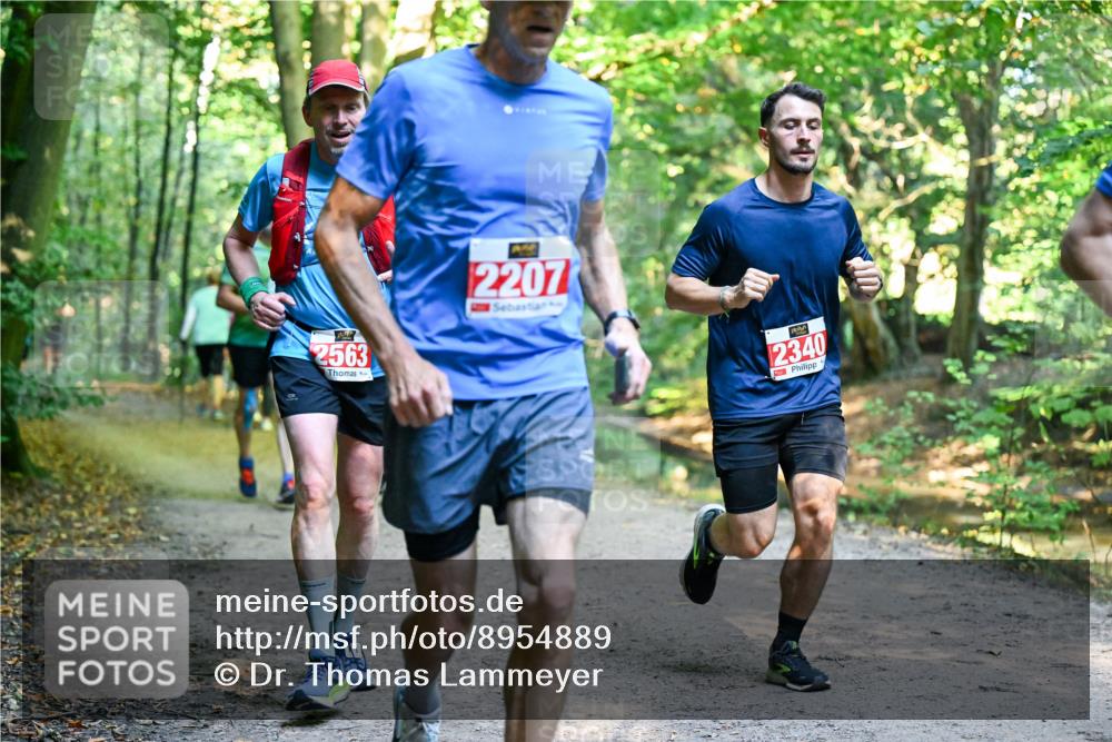 28.09.2025 - 33. Volkslauf durch das schöne Alstertal Dr. Thomas Lammeyer http://msf.ph/oto/8954889 28.09.2025 10:40:03 Laufen 2563, 2207, 2340 meine-sportfotos.de