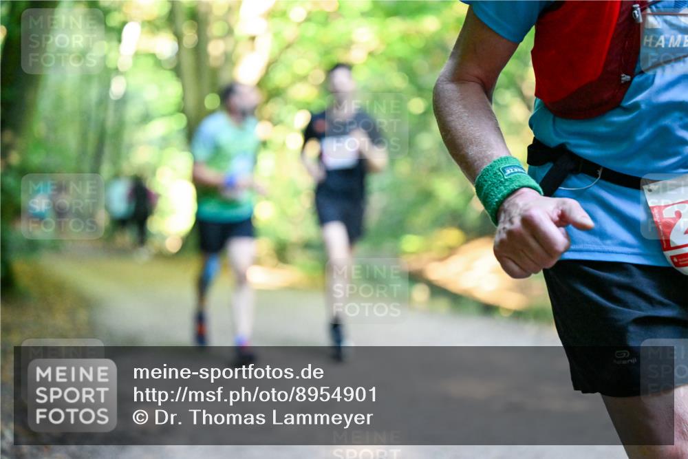 28.09.2025 - 33. Volkslauf durch das schöne Alstertal Dr. Thomas Lammeyer http://msf.ph/oto/8954901 28.09.2025 10:40:05 Laufen 323, 2 meine-sportfotos.de
