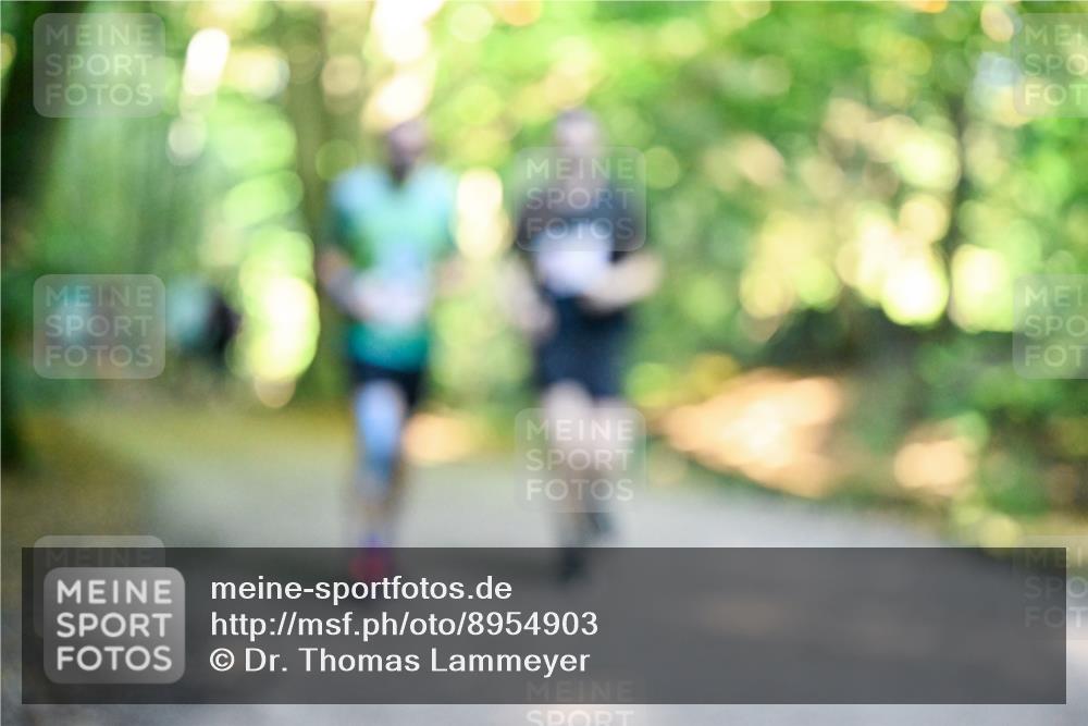 28.09.2025 - 33. Volkslauf durch das schöne Alstertal Dr. Thomas Lammeyer http://msf.ph/oto/8954903 28.09.2025 10:40:05 Laufen  meine-sportfotos.de