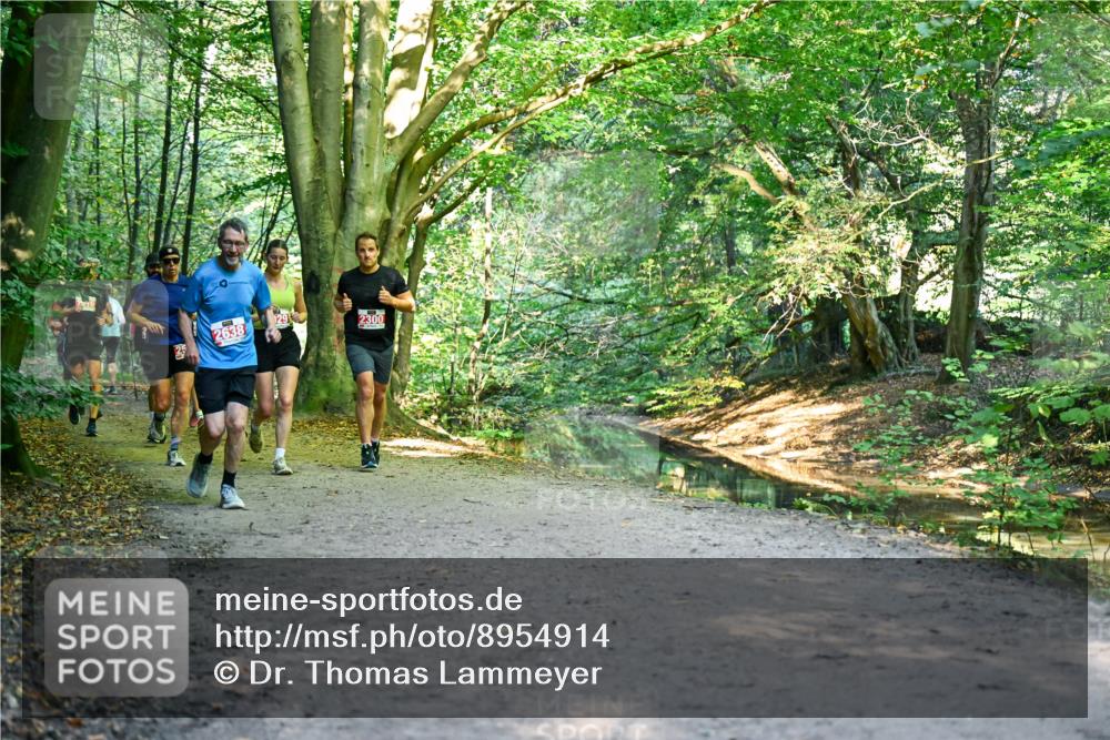 28.09.2025 - 33. Volkslauf durch das schöne Alstertal Dr. Thomas Lammeyer http://msf.ph/oto/8954914 28.09.2025 10:40:09 Laufen 2638, 2300, 25 meine-sportfotos.de
