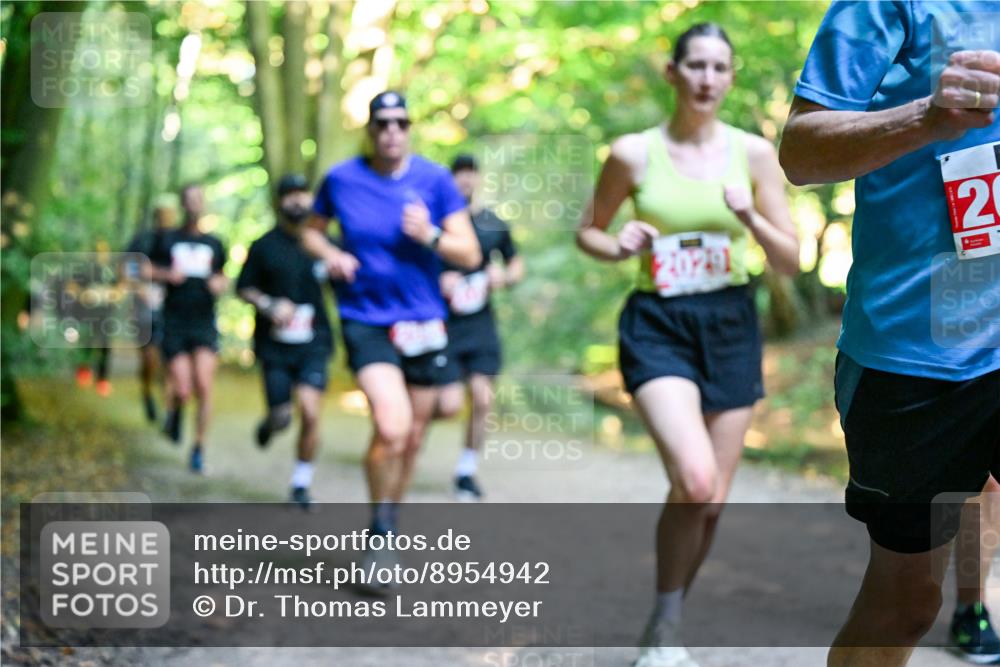 28.09.2025 - 33. Volkslauf durch das schöne Alstertal Dr. Thomas Lammeyer http://msf.ph/oto/8954942 28.09.2025 10:40:13 Laufen 2, 2029 meine-sportfotos.de
