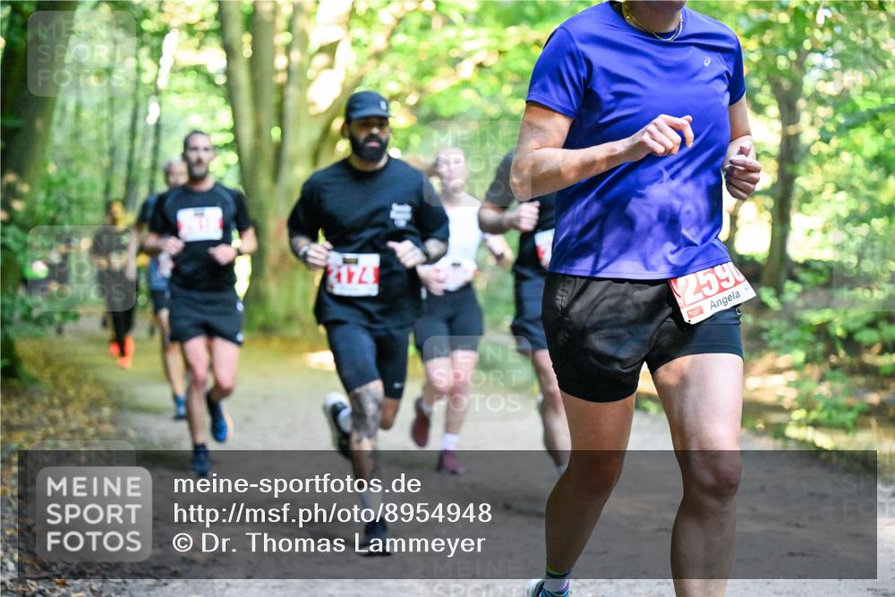 28.09.2025 - 33. Volkslauf durch das schöne Alstertal Dr. Thomas Lammeyer http://msf.ph/oto/8954948 28.09.2025 10:40:14 Laufen 174, 259 meine-sportfotos.de
