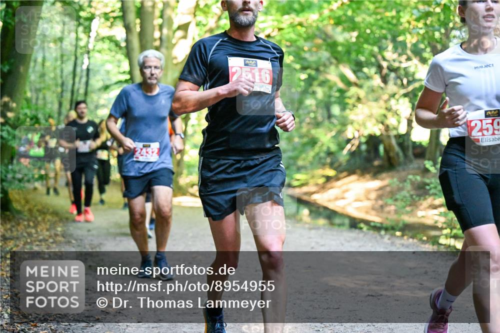 28.09.2025 - 33. Volkslauf durch das schöne Alstertal Dr. Thomas Lammeyer http://msf.ph/oto/8954955 28.09.2025 10:40:16 Laufen 2432, 2516, 259 meine-sportfotos.de