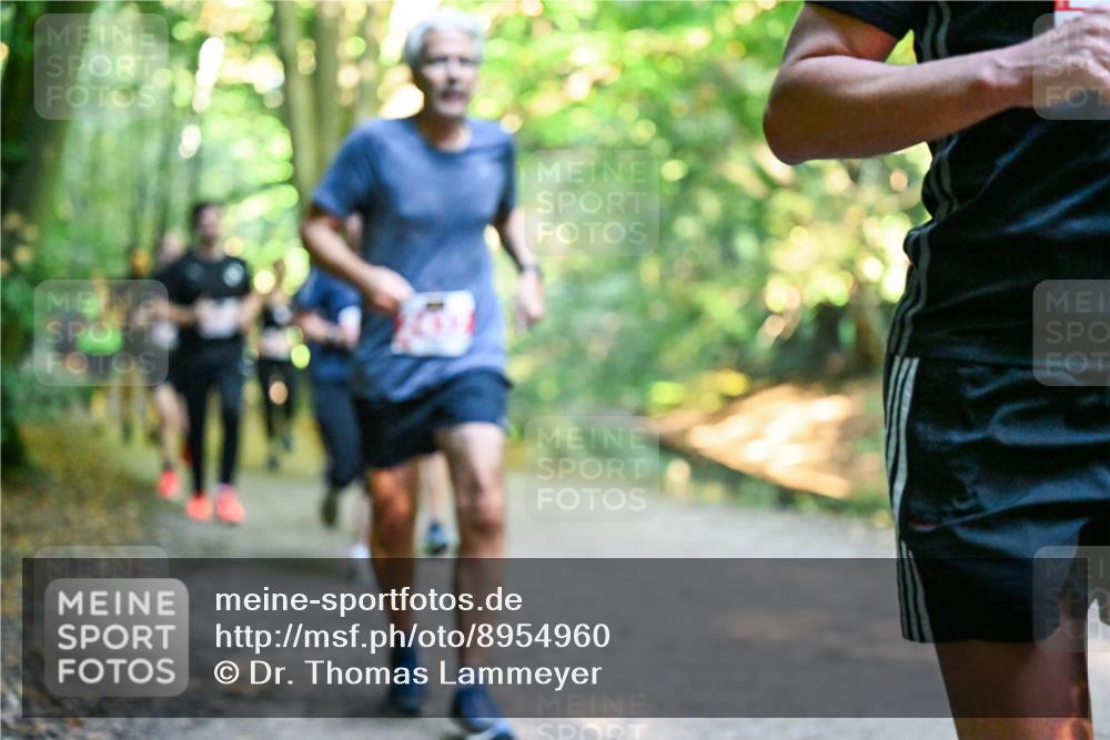 28.09.2025 - 33. Volkslauf durch das schöne Alstertal Dr. Thomas Lammeyer http://msf.ph/oto/8954960 28.09.2025 10:40:17 Laufen  meine-sportfotos.de