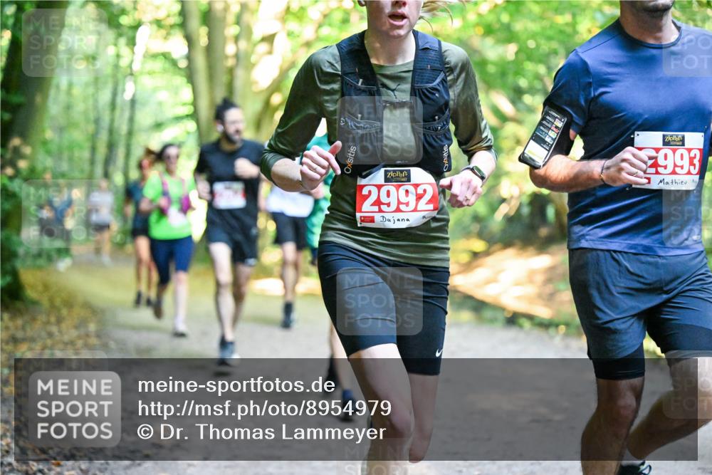 28.09.2025 - 33. Volkslauf durch das schöne Alstertal Dr. Thomas Lammeyer http://msf.ph/oto/8954979 28.09.2025 10:40:20 Laufen 2992, 993 meine-sportfotos.de