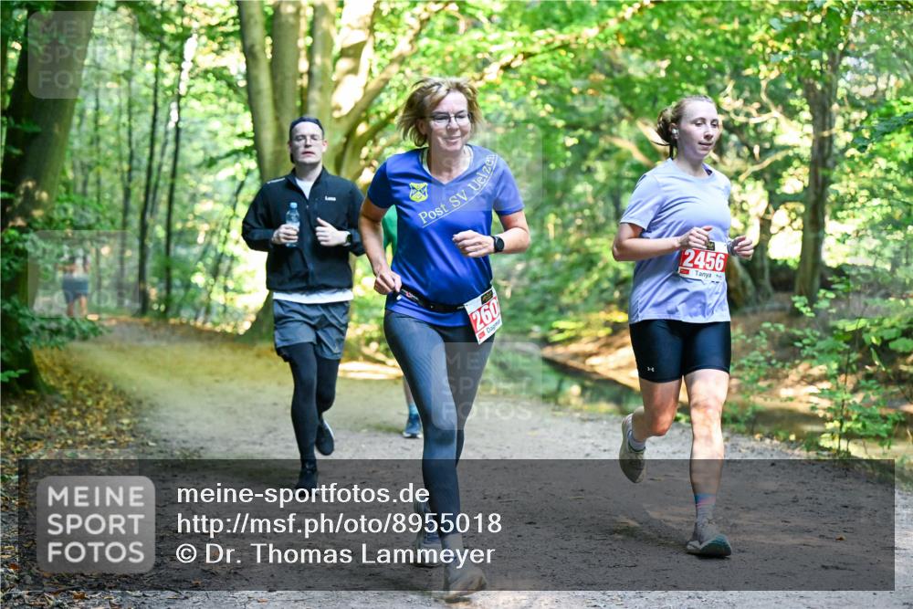 28.09.2025 - 33. Volkslauf durch das schöne Alstertal Dr. Thomas Lammeyer http://msf.ph/oto/8955018 28.09.2025 10:40:28 Laufen 260, 2456 meine-sportfotos.de