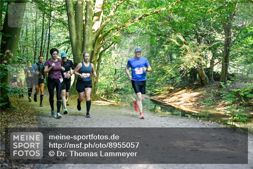 28.09.2025 - 33. Volkslauf durch das schöne Alstertal Dr. Thomas Lammeyer http://msf.ph/oto/8955057 28.09.2025 10:40:37 Laufen 20, 2016 meine-sportfotos.de