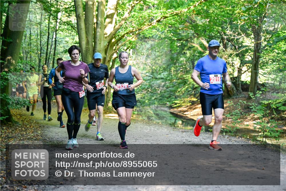 28.09.2025 - 33. Volkslauf durch das schöne Alstertal Dr. Thomas Lammeyer http://msf.ph/oto/8955065 28.09.2025 10:40:38 Laufen 245, 2016 meine-sportfotos.de