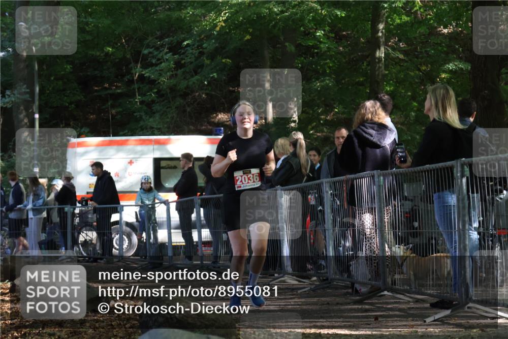 28.09.2025 - 33. Volkslauf durch das schöne Alstertal Strokosch-Dieckow http://msf.ph/oto/8955081 28.09.2025 12:45:49 Ziel 2036 meine-sportfotos.de