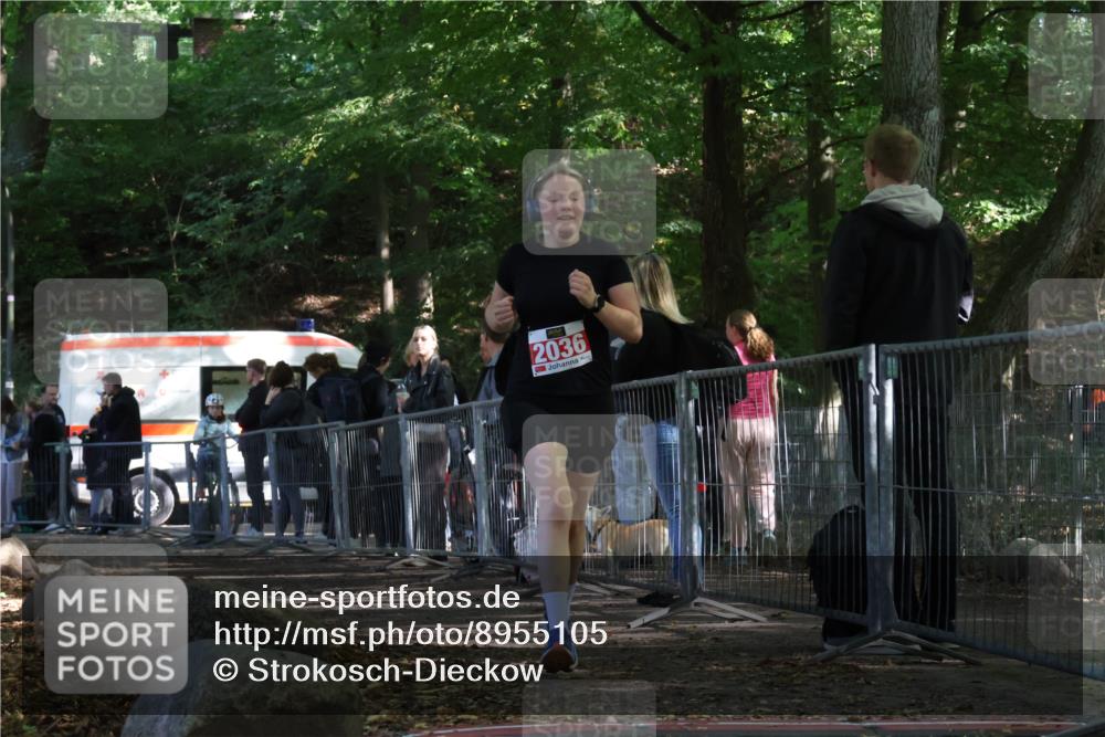 28.09.2025 - 33. Volkslauf durch das schöne Alstertal Strokosch-Dieckow http://msf.ph/oto/8955105 28.09.2025 12:45:51 Ziel 2036 meine-sportfotos.de