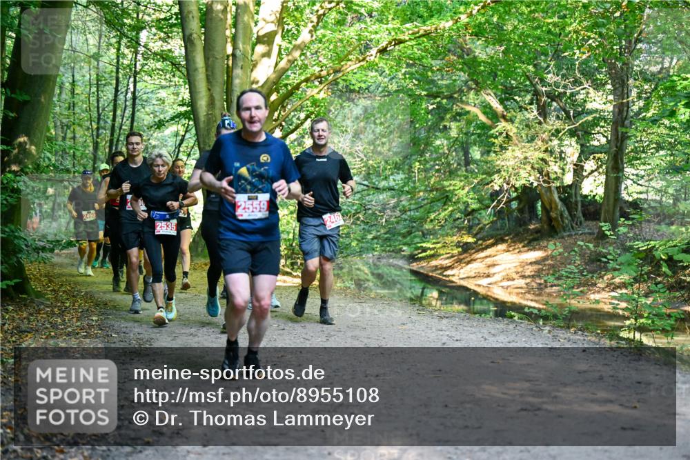 28.09.2025 - 33. Volkslauf durch das schöne Alstertal Dr. Thomas Lammeyer http://msf.ph/oto/8955108 28.09.2025 10:40:44 Laufen 2450, 2535, 2559, 2462 meine-sportfotos.de