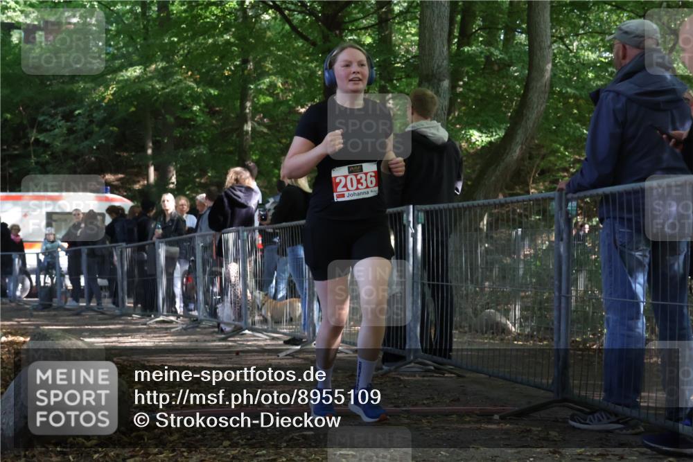 28.09.2025 - 33. Volkslauf durch das schöne Alstertal Strokosch-Dieckow http://msf.ph/oto/8955109 28.09.2025 12:45:52 Ziel 2036 meine-sportfotos.de