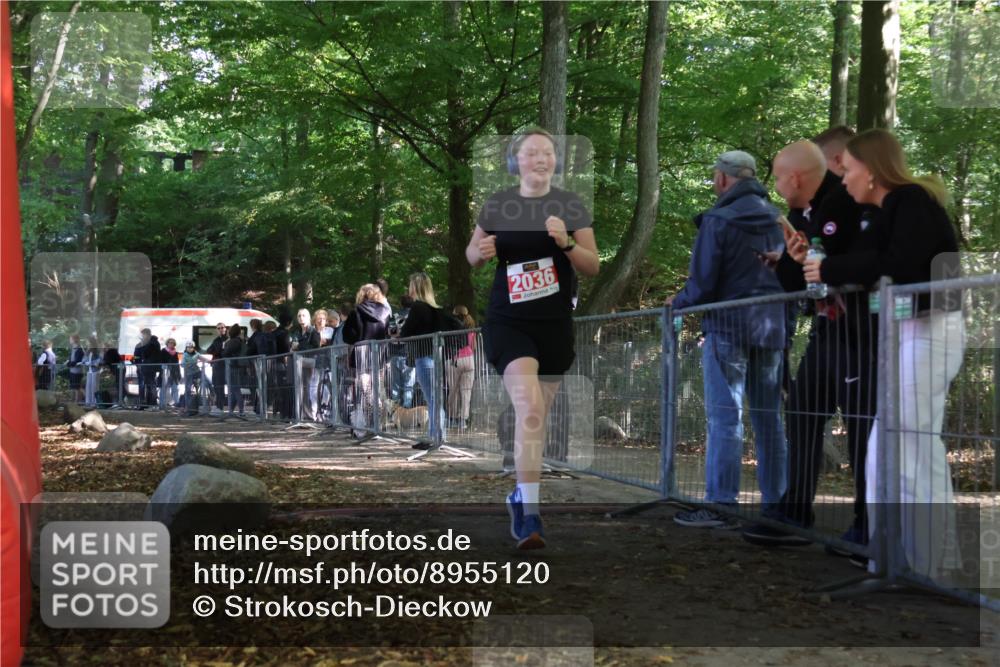 28.09.2025 - 33. Volkslauf durch das schöne Alstertal Strokosch-Dieckow http://msf.ph/oto/8955120 28.09.2025 12:45:52 Ziel 2036 meine-sportfotos.de