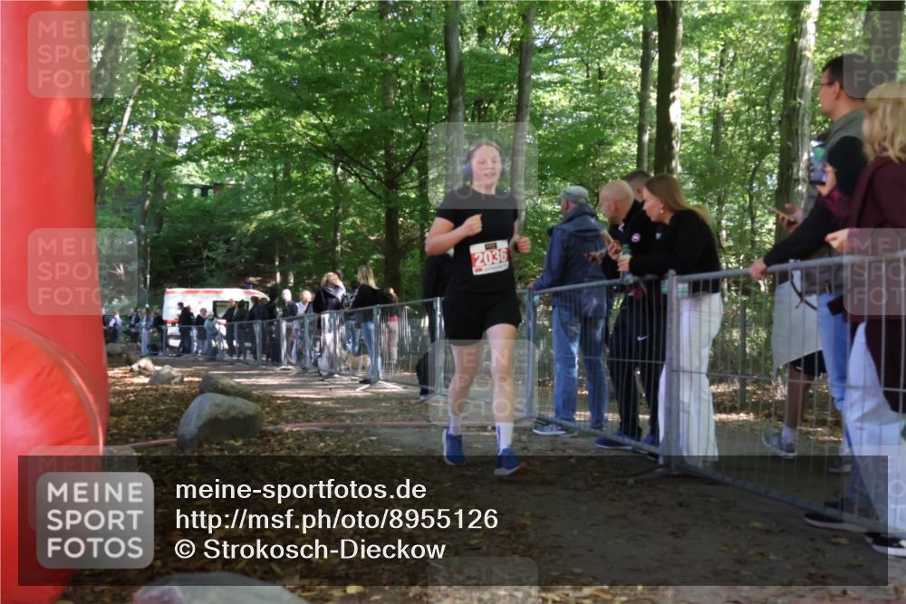 28.09.2025 - 33. Volkslauf durch das schöne Alstertal Strokosch-Dieckow http://msf.ph/oto/8955126 28.09.2025 12:45:52 Ziel 2036 meine-sportfotos.de