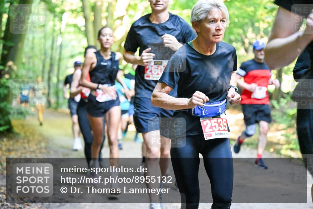 28.09.2025 - 33. Volkslauf durch das schöne Alstertal Dr. Thomas Lammeyer http://msf.ph/oto/8955132 28.09.2025 10:40:48 Laufen 260, 2535 meine-sportfotos.de