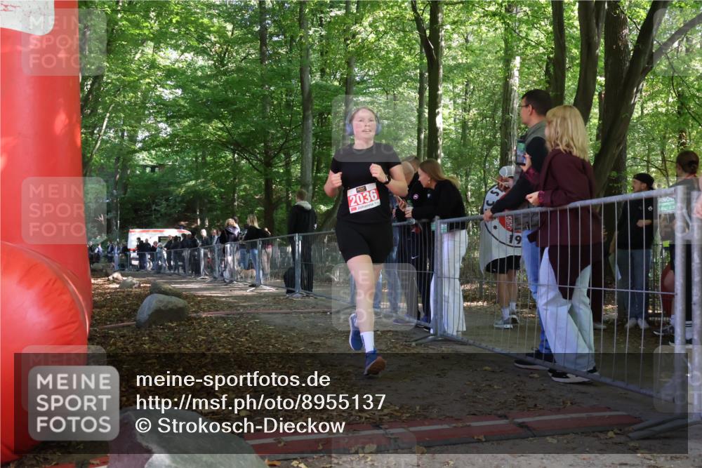 28.09.2025 - 33. Volkslauf durch das schöne Alstertal Strokosch-Dieckow http://msf.ph/oto/8955137 28.09.2025 12:45:53 Ziel 2036 meine-sportfotos.de