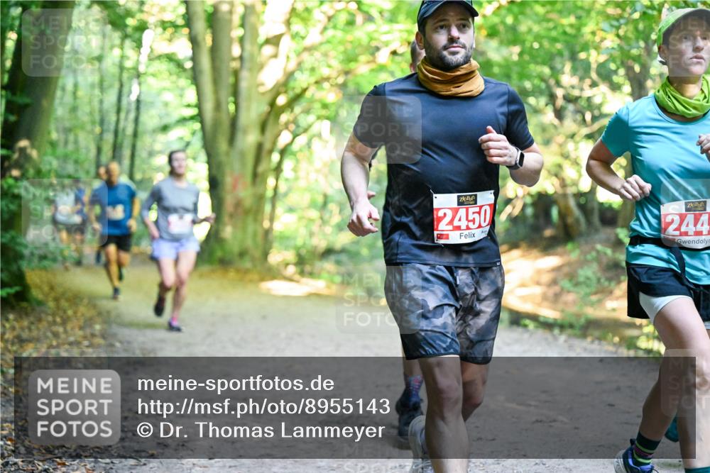 28.09.2025 - 33. Volkslauf durch das schöne Alstertal Dr. Thomas Lammeyer http://msf.ph/oto/8955143 28.09.2025 10:40:51 Laufen 2450, 244 meine-sportfotos.de