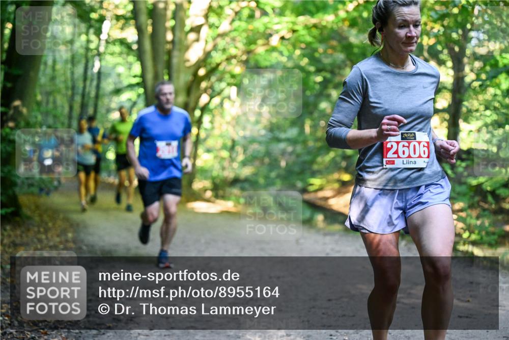 28.09.2025 - 33. Volkslauf durch das schöne Alstertal Dr. Thomas Lammeyer http://msf.ph/oto/8955164 28.09.2025 10:40:53 Laufen 2606 meine-sportfotos.de