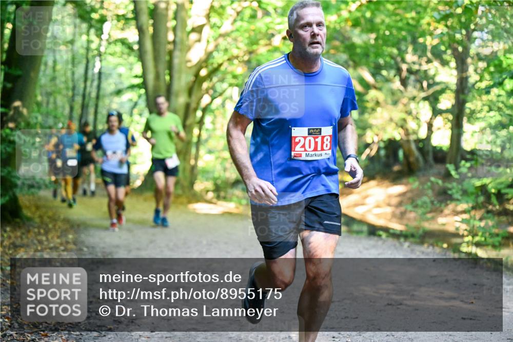 28.09.2025 - 33. Volkslauf durch das schöne Alstertal Dr. Thomas Lammeyer http://msf.ph/oto/8955175 28.09.2025 10:40:55 Laufen 2018 meine-sportfotos.de