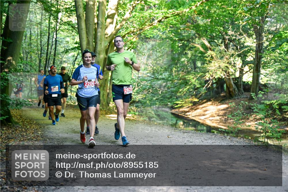 28.09.2025 - 33. Volkslauf durch das schöne Alstertal Dr. Thomas Lammeyer http://msf.ph/oto/8955185 28.09.2025 10:40:56 Laufen 2484, 2206, 2629 meine-sportfotos.de