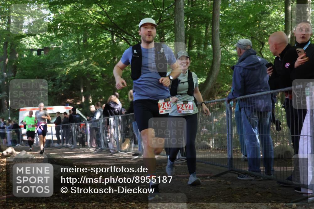 28.09.2025 - 33. Volkslauf durch das schöne Alstertal Strokosch-Dieckow http://msf.ph/oto/8955187 28.09.2025 12:46:30 Ziel 2427, 2428, 2543 meine-sportfotos.de