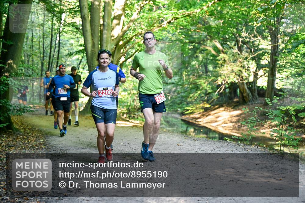 28.09.2025 - 33. Volkslauf durch das schöne Alstertal Dr. Thomas Lammeyer http://msf.ph/oto/8955190 28.09.2025 10:40:57 Laufen 2484, 2206, 2629 meine-sportfotos.de