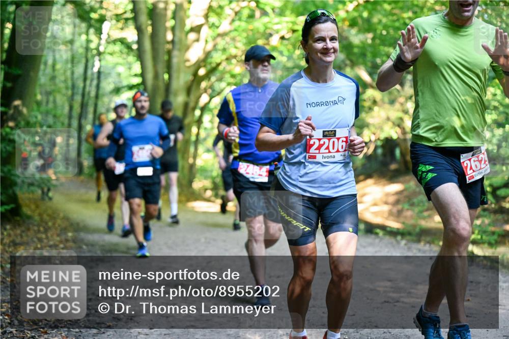 28.09.2025 - 33. Volkslauf durch das schöne Alstertal Dr. Thomas Lammeyer http://msf.ph/oto/8955202 28.09.2025 10:40:58 Laufen 2454, 2206, 262 meine-sportfotos.de
