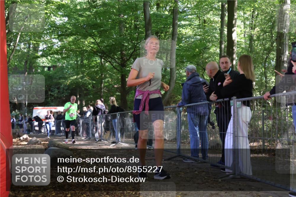 28.09.2025 - 33. Volkslauf durch das schöne Alstertal Strokosch-Dieckow http://msf.ph/oto/8955227 28.09.2025 12:46:35 Ziel 2543, 2609 meine-sportfotos.de