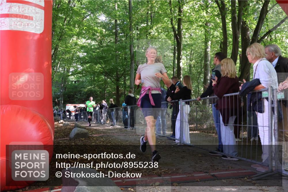 28.09.2025 - 33. Volkslauf durch das schöne Alstertal Strokosch-Dieckow http://msf.ph/oto/8955238 28.09.2025 12:46:36 Ziel 2543, 2609 meine-sportfotos.de