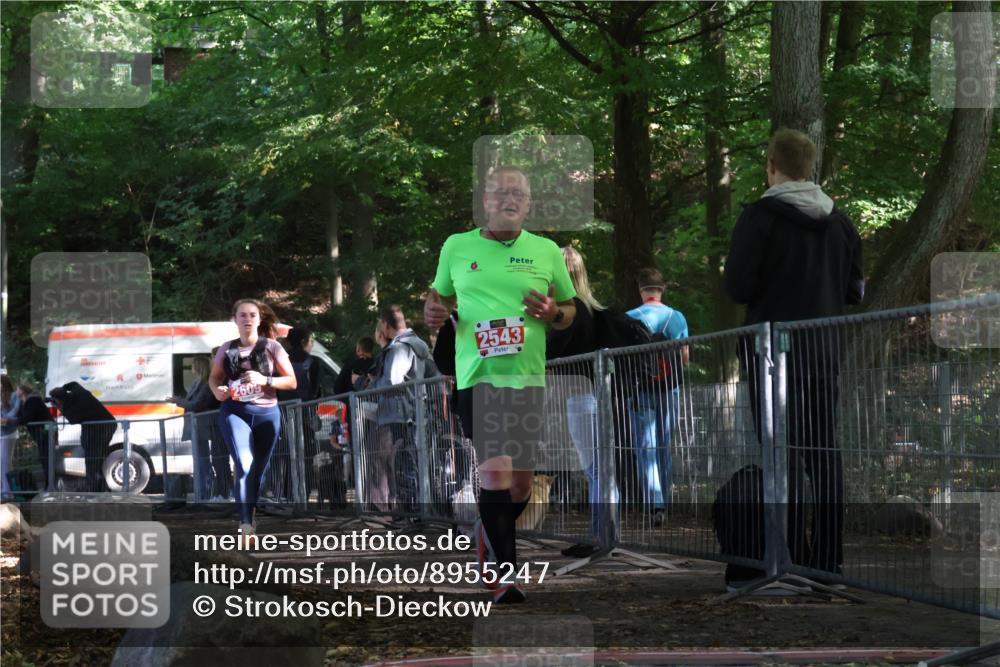 28.09.2025 - 33. Volkslauf durch das schöne Alstertal Strokosch-Dieckow http://msf.ph/oto/8955247 28.09.2025 12:46:37 Ziel 2543, 2609 meine-sportfotos.de