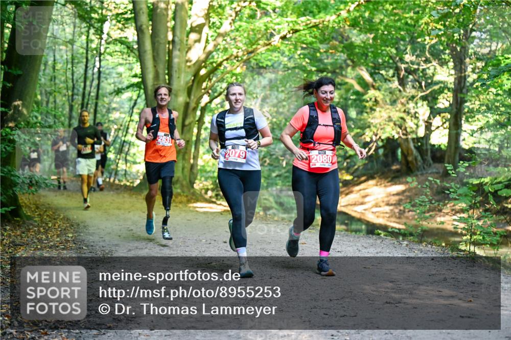 28.09.2025 - 33. Volkslauf durch das schöne Alstertal Dr. Thomas Lammeyer http://msf.ph/oto/8955253 28.09.2025 10:41:08 Laufen 2631, 2079, 2080 meine-sportfotos.de