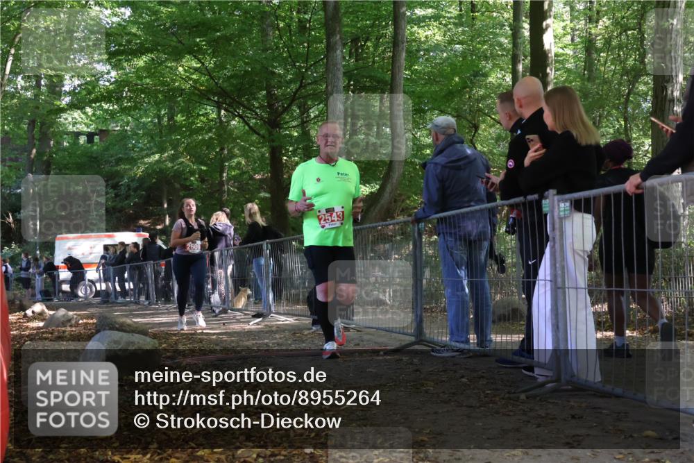 28.09.2025 - 33. Volkslauf durch das schöne Alstertal Strokosch-Dieckow http://msf.ph/oto/8955264 28.09.2025 12:46:39 Ziel 2543, 2609 meine-sportfotos.de
