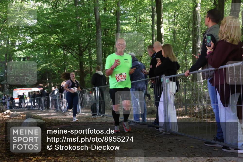 28.09.2025 - 33. Volkslauf durch das schöne Alstertal Strokosch-Dieckow http://msf.ph/oto/8955274 28.09.2025 12:46:40 Ziel 2543, 2609 meine-sportfotos.de
