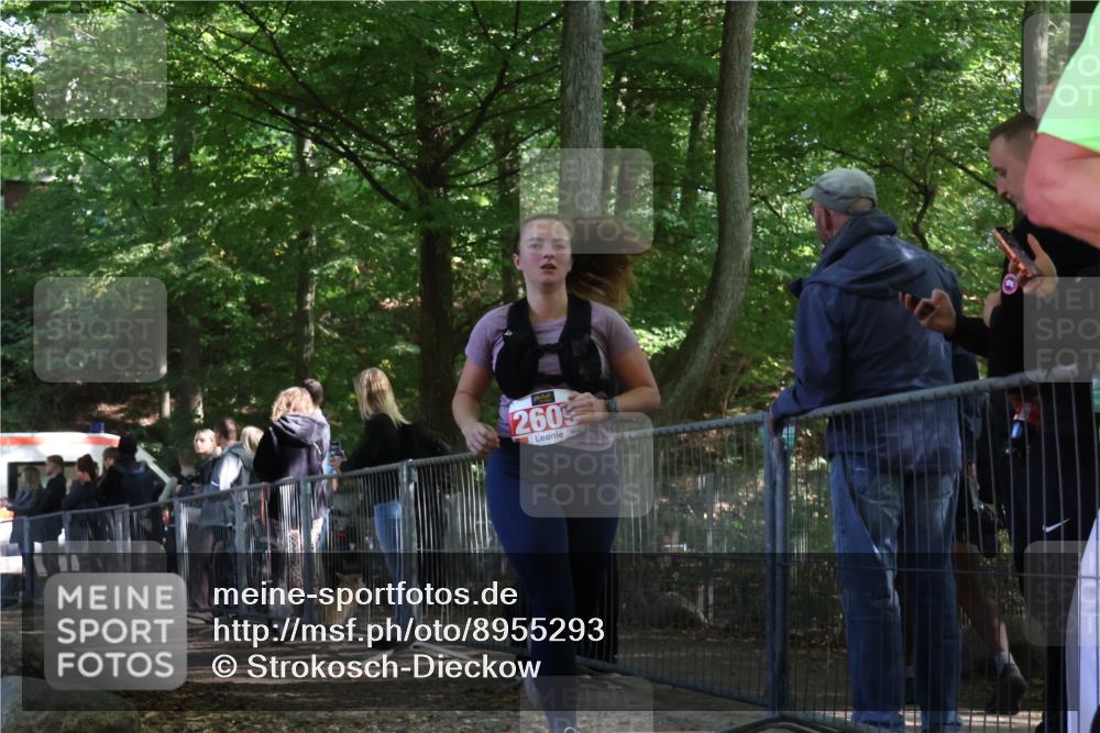 28.09.2025 - 33. Volkslauf durch das schöne Alstertal Strokosch-Dieckow http://msf.ph/oto/8955293 28.09.2025 12:46:41 Ziel 2487, 2609 meine-sportfotos.de