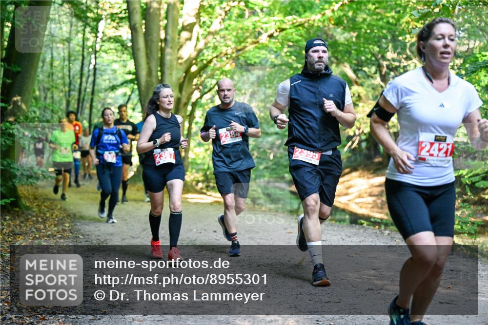 28.09.2025 - 33. Volkslauf durch das schöne Alstertal Dr. Thomas Lammeyer http://msf.ph/oto/8955301 28.09.2025 10:41:15 Laufen 2384, 2367, 2395, 2421 meine-sportfotos.de