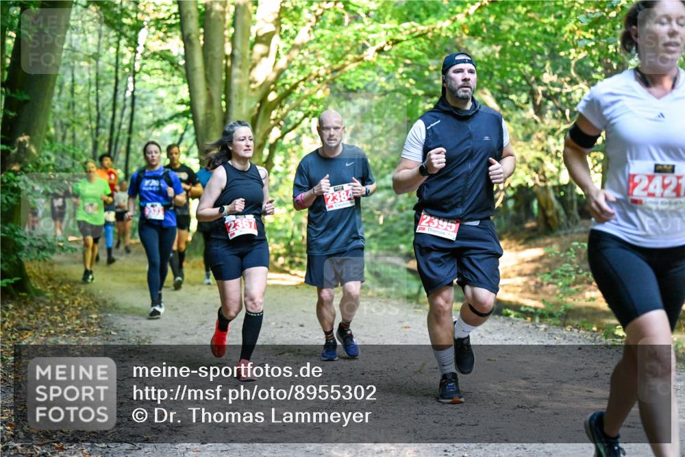 28.09.2025 - 33. Volkslauf durch das schöne Alstertal Dr. Thomas Lammeyer http://msf.ph/oto/8955302 28.09.2025 10:41:15 Laufen 2395, 2421 meine-sportfotos.de