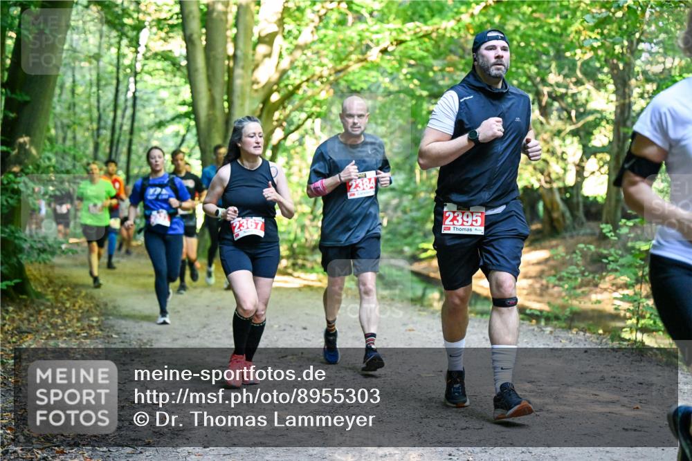 28.09.2025 - 33. Volkslauf durch das schöne Alstertal Dr. Thomas Lammeyer http://msf.ph/oto/8955303 28.09.2025 10:41:16 Laufen 2367, 2384, 2395 meine-sportfotos.de