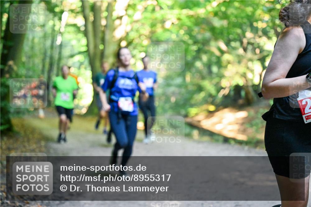 28.09.2025 - 33. Volkslauf durch das schöne Alstertal Dr. Thomas Lammeyer http://msf.ph/oto/8955317 28.09.2025 10:41:17 Laufen  meine-sportfotos.de