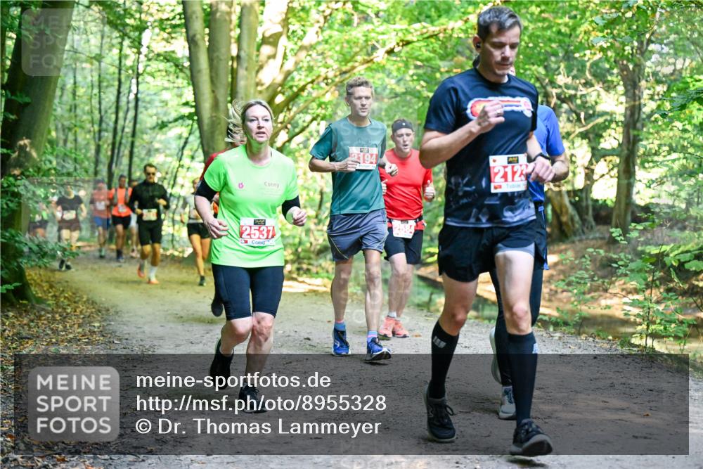 28.09.2025 - 33. Volkslauf durch das schöne Alstertal Dr. Thomas Lammeyer http://msf.ph/oto/8955328 28.09.2025 10:41:20 Laufen 2537, 00, 2194, 2122 meine-sportfotos.de