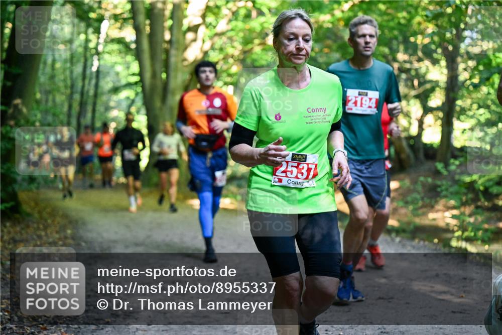 28.09.2025 - 33. Volkslauf durch das schöne Alstertal Dr. Thomas Lammeyer http://msf.ph/oto/8955337 28.09.2025 10:41:21 Laufen 2025, 2194, 2537 meine-sportfotos.de