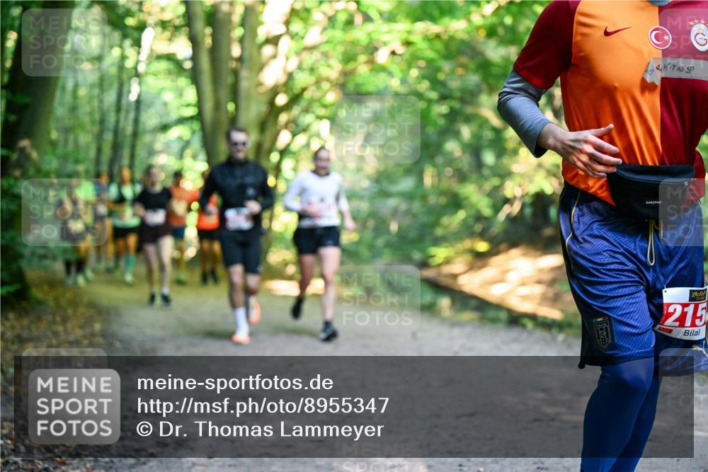 28.09.2025 - 33. Volkslauf durch das schöne Alstertal Dr. Thomas Lammeyer http://msf.ph/oto/8955347 28.09.2025 10:41:23 Laufen 4, 215 meine-sportfotos.de