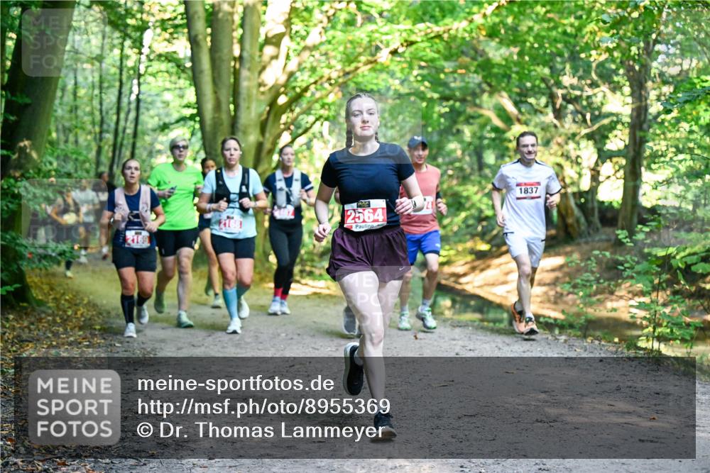 28.09.2025 - 33. Volkslauf durch das schöne Alstertal Dr. Thomas Lammeyer http://msf.ph/oto/8955369 28.09.2025 10:41:26 Laufen 2564, 1837 meine-sportfotos.de