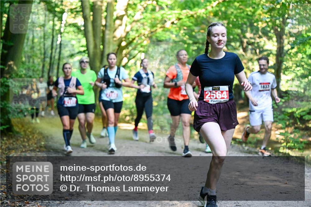 28.09.2025 - 33. Volkslauf durch das schöne Alstertal Dr. Thomas Lammeyer http://msf.ph/oto/8955374 28.09.2025 10:41:27 Laufen 2564, 1837 meine-sportfotos.de