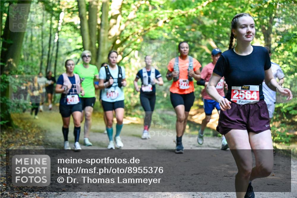 28.09.2025 - 33. Volkslauf durch das schöne Alstertal Dr. Thomas Lammeyer http://msf.ph/oto/8955376 28.09.2025 10:41:27 Laufen 2564 meine-sportfotos.de
