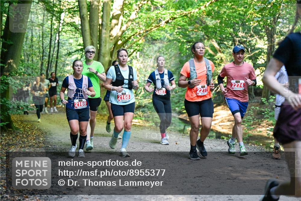 28.09.2025 - 33. Volkslauf durch das schöne Alstertal Dr. Thomas Lammeyer http://msf.ph/oto/8955377 28.09.2025 10:41:27 Laufen 2168, 2169, 2274, 2487, 227 meine-sportfotos.de