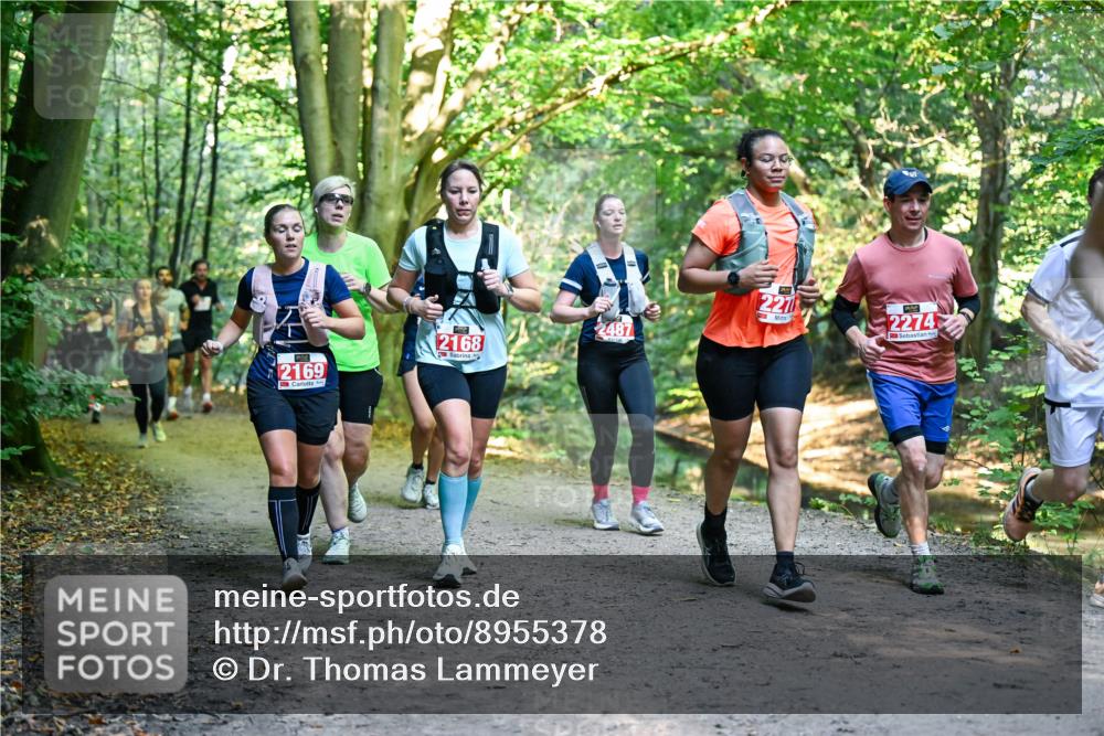 28.09.2025 - 33. Volkslauf durch das schöne Alstertal Dr. Thomas Lammeyer http://msf.ph/oto/8955378 28.09.2025 10:41:27 Laufen 2169, 2168, 2487, 227, 2274 meine-sportfotos.de