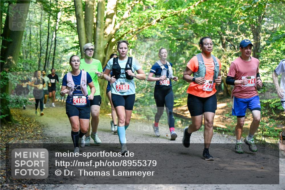 28.09.2025 - 33. Volkslauf durch das schöne Alstertal Dr. Thomas Lammeyer http://msf.ph/oto/8955379 28.09.2025 10:41:27 Laufen 2169, 2168, 2487, 74 meine-sportfotos.de