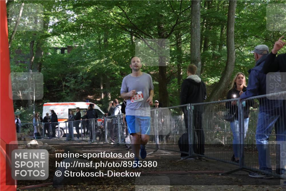 28.09.2025 - 33. Volkslauf durch das schöne Alstertal Strokosch-Dieckow http://msf.ph/oto/8955380 28.09.2025 12:47:04 Ziel 2583 meine-sportfotos.de